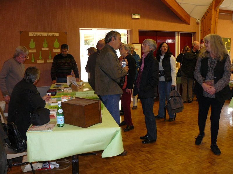 2009 10 Expo champignons de Clairefontaine 12